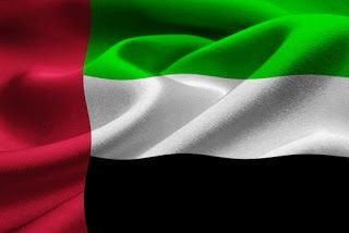 AED flag